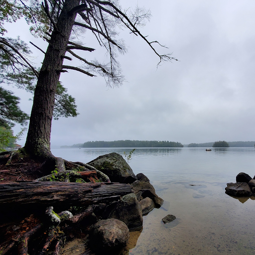 Guided Squam History and Plant Tour One to the Squam Lakes
